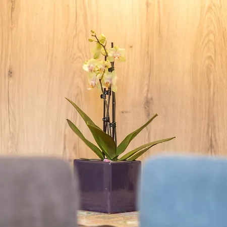 Apartament Annabel